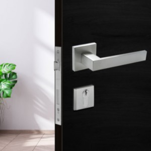 F5450 zámek páky znerezové oceli, zámek kliky vstupní páky